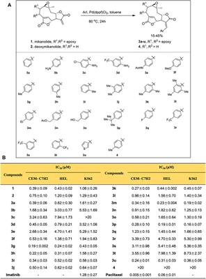 Design, Synthesis, and Antileukemic Evaluation of a Novel Mikanolide Derivative Through the <mark class="highlighted">Ras/Raf/MEK/ERK Pathway</mark>